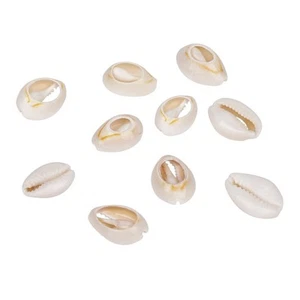 Conchiglia di mare a spirale naturale 18-20 mm circa 340 pezzi conchiglia da spiaggia cowrie non forata... - Foto 1 di 7