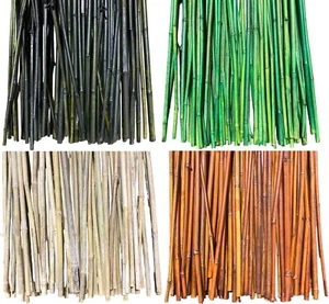 5 ft All Natural Thick Bamboo Poles - (1/2 in Wide) - 16 Pieces - 6 COLORS!!! - Picture 1 of 7