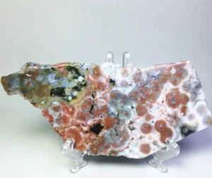 Best Natural Polished Ocean Jasper Agate Quartz Crystal Slice Stone Reiki Stand - Picture 1 of 10