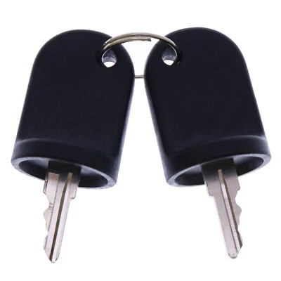 2X Keys Fits Ezgo Golf Cart All RXV Models