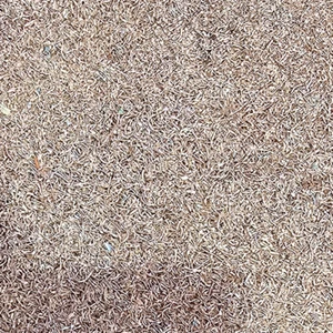 High-Quality Recycled Copper Granules more than 90% - Per Kg - Picture 1 of 4