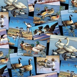 Waterfowl Postcards Black 100% Cotton Fabric by The Yard - Picture 1 of 1