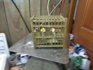 Coal Miner’s Canary Birdcage, Collectible Miner Memorabilia Antique & Clay Water - Picture 1 of 4