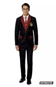 Gryffindor L Harry Potter CosTume Cosplay Fancy Wizard Suitmeister New - Picture 1 of 8