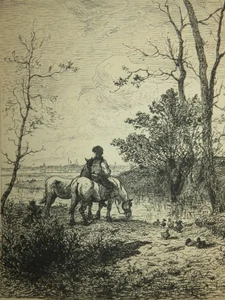 Amédée BESNUS 1831-1909 ORIGINAL STARKES WASSER PFERDE LANDSCHAFT BARBIZON BRACQUEMOND - Bild 1 von 5