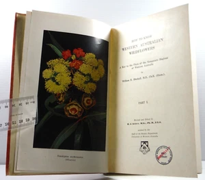 How to Know Western Australian Wildflowers by William E Blackall 1954 Part 1 HC - Foto 1 di 24