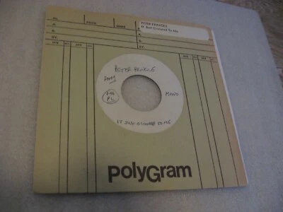 **Peter Pringle/ It Just Occurred To Me/ Test Pressing/ Mono/ Stereo/ 1981 - Image 1 of 3