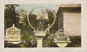 Snapshot Vintage Photo Hand Colored Bird Cages Parakeets Outdoors Pet Animal - Picture 1 of 6