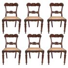 Set 6 Antique Anglo Indian Late Regency Rosewood Caned Dining Chairs C. 1860