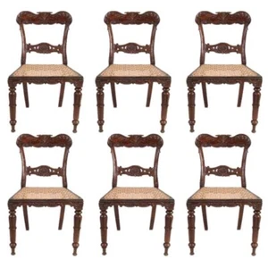 Set 6 Antique Anglo Indian Late Regency Rosewood Caned Dining Chairs c. 1860 - Picture 1 of 8