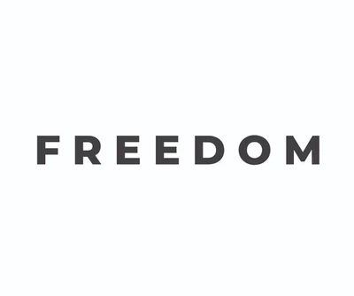 FREEDOM Decal Vinyl Transfer Sticker Die Cut Car Window Laptop Charlie Kirk - Image 1 of 4