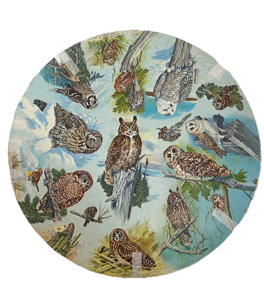Vintage Circular Springbok Jigsaw Puzzle – Owls 1973 500 Pieces Donald Leo Malik - Image 1 of 4