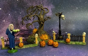 DEPT 56 HALLOWEEN VILLAGE - GRAVELY LANDSCAPE SET 8 53060 WBX SEE NOTES - Picture 1 of 13