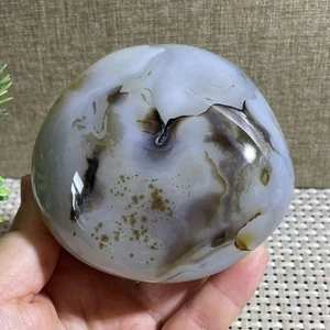 480g Natural Polished Aquatic Plants Agate Crystal Madagascar - Imagen 1 de 9