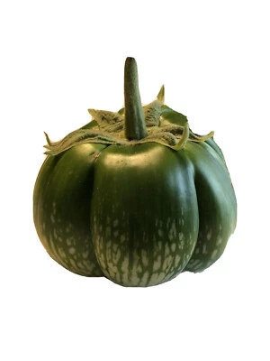 30+ cambodian Green Giant Eggplant Seeds Grown Organically Non GMO - Image 1 of 4