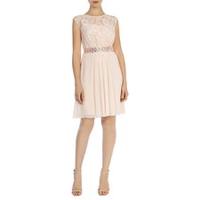 coast dresses ebay size 12