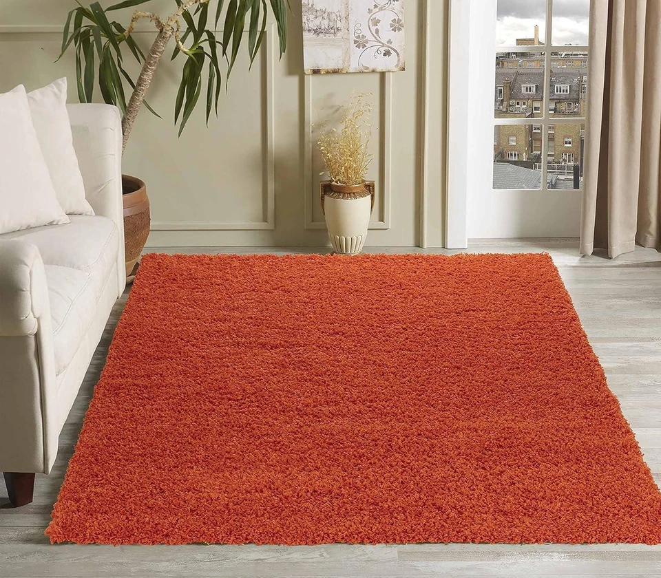 Shaggy Area Rugs Serdim Rugs Living Room Oxford Polypropylene Orange 200x290cm