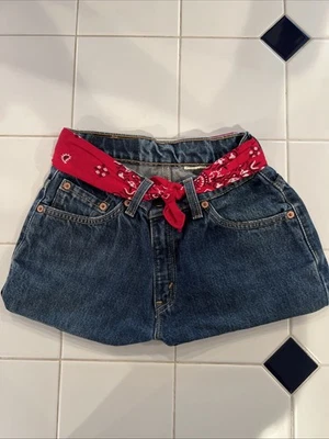 Bolso de Transporte Cartera Levi's De Colección Con Paisley Bandana Hecho a Mano 10x18 Raro EE. UU. Foto 1 de 4