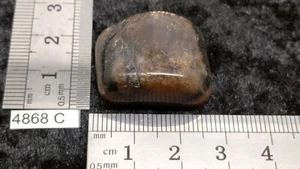 CHIASTOLITE ANDALOUSITE - pierre roulee naturelle - mineraux lithotherapie reiki - Picture 1 of 3