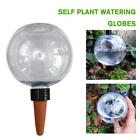 2x Plant Self Watering Bulb Water Globes Feeder Indoor US Garden Automatic U0I2