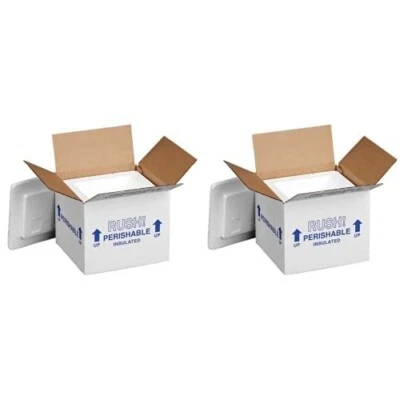 2PK Polar Tech 205/214C Thermo Chill Carton w/ Foam Shipper 6" X 5" X 6.5" - Image 1 of 4