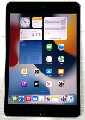 Tablet Apple iPad Mini 4 7,9" Retina 128 GB solo Wi-Fi | A1538 (gris espacial) Foto 1 de 4