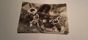 Ansichtskarte Postkarte Sandmann Sandmännchen Hase Häschen Hoppel Märchenwald PK - Bild 1 von 2