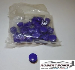 BRP SEA DOO 291000421, P291000421 Violet Bumper Plug NOS OEM WATERCRAFT - Picture 1 of 7