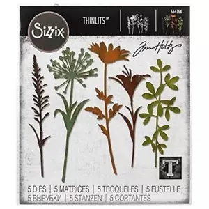 Sizzix Thinlits Die Set by Tim Holtz 5pcs - Wildflower Stems #2 664164 - Picture 1 of 4
