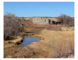 "Amargosa River - California 8x10 foto en 8,5"" x 11" - Imagen 1 de 1