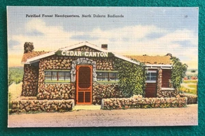 Cartolina di lino Quartier generale foresta pietrificata North Dakota Badlands - Foto 1 di 2