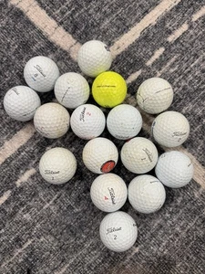 17 Mixed Titleist Golf Balls โณ Hand-Washed by Kids ๐ First Business Fundraiser - Picture 1 of 3