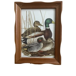 Vintage Duck Family Print Brown Wood Frame 6” x 8” - Picture 1 of 5