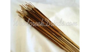 PRESERVED NATURAL PENCIL BROWN CATTAILS DRIED FLORAL FLOWER FOLIAGE FILLER - Picture 1 of 1