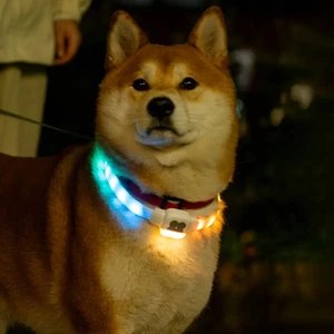 LED 22" Adjustable Dog Collar Blinking Flashing Light Up Glow Pets Safety Medium - Picture 1 of 18