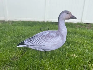 Juvie goose silhouette decoys - Real image Juvie snow goose 12 pack Juvenile - Picture 1 of 3