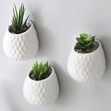 4-Inch Golf Ball-Inspired White Ceramic Wall-Mountable Mini Planters, Set of 3
