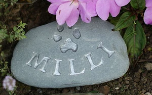 Hand carved, Personalised Pet Memorial stone, dog, cat, grave marker, rabbit - Picture 1 of 5