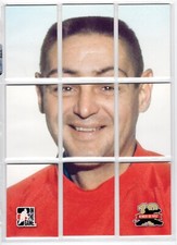 2011-12 Between The Pipes Complete Puzzle Terry Sawchuk *S4652