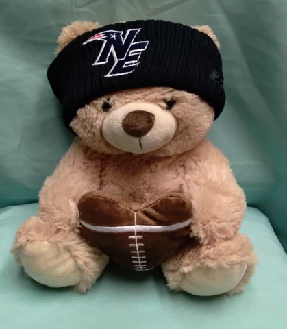 10" NEW ENGLAND PATRIOTS TEDDY BEAR Cover