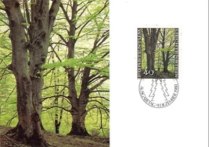 Maximum Card FDC LIECHTENSTEIN Forest During The 4 Seasons 1980 MK 19 N1 - Picture 1 of 2