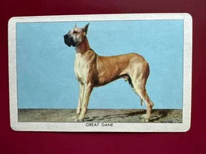 1950 Peter Paul Walnettos Choclettos and Coconettos Great Dane Dog Card - Afbeelding 1 van 2