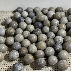 100pcs Top! Natural polished dinosaur bone specimen Madagascar - Picture 1 of 11