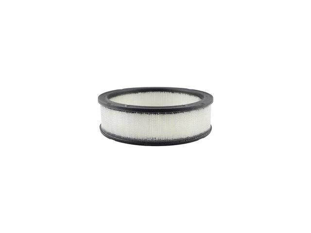 Filtro de aire Baldwin 59RTVS42 para Cadillac DeVille Fleetwood 1985 1986 1987 Foto 1 de 1
