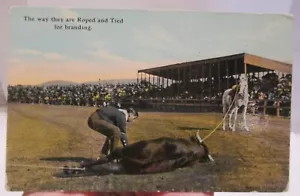 RODEO COWBOY - Farbe - ROPED und TIED - POSTKARTE - Angebot #1876 - Bild 1 von 10