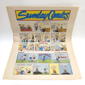 Sección de periódicos Sunday Comics 24 de septiembre de 1995 revistas divertidas a color - Imagen 1 de 6