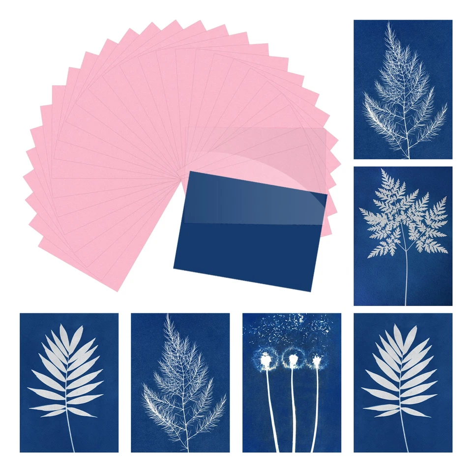 Papel Cianotipo, 12 Hojas Papel Impresión Sol Rosa Artesanía con Tablero, 5.8x8.3" Foto 1 de 4