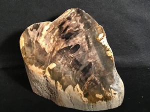 ~RW~   MYRTLEWOOD   "PETRIFIED WOOD"    STANDUP  SPECIMEN ~~ RARE ~~ 3 POUNDS - Picture 1 of 5