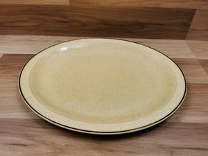 Vintage Poole Keramik Breitstein groß 13,25" ovale Servierplatte  - Bild 1 von 8