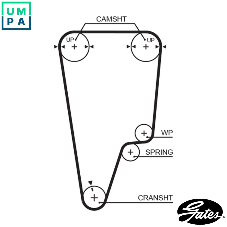 TIMING BELT 5505XS FOR HONDA B20B 2.0L B20BI/B20Z1 2.0L 4cyl CR-V I - Image 1 of 4